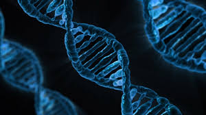DNA - CRISPR